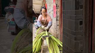 Peeling the bark of jute plants process [upl. by Thgiwd350]