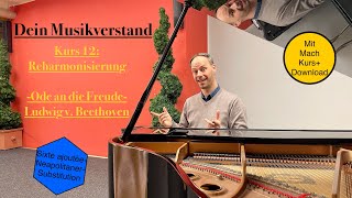 Dein Musikverstand 12🎼🧠 Die Freude am Harmonisieren Ein Kleinod für deinen Musikverstand [upl. by Epstein414]