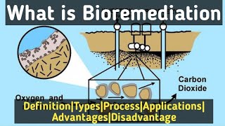 Environmental MicrobiologyWhat is BioremediationTypesProcessRohitShankarMane Scientistracademy [upl. by Aniles751]