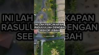 Ini lah percakapan Rasulullah Saw dengan seekor lebah kisahnabi [upl. by Leirda87]