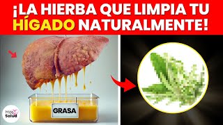 ¡12 Hierbas Más Poderosas para Limpiar tu Hígado Rápida y Naturalmente [upl. by Photima496]