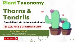 Thorns Tendrils amp Phylloclade  Specialized structures of plants  Dr Praveen Mohil [upl. by Heyes]