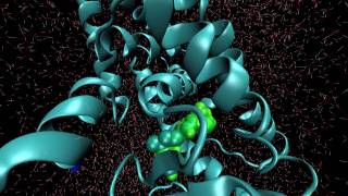 VMD with Gromacs protein simulation over IMD [upl. by Ahcim178]