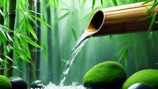 Melodies of Bamboo Water Flowing Harmony for Deep Relaxation [upl. by Atnek]