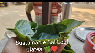 Sustainable Sal Leaf Plates [upl. by Oiludbo]