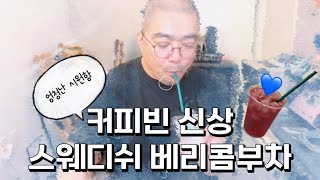 기분좋은 수분 보충에 딱 가벼운 한잔 커피빈 신상품 스웨디쉬 베리 콤부차 [upl. by Atteuqnas]