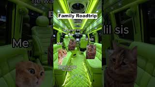 CAT MEMES 🐱Family Roadtrip P2 catmemes relatable shorts viralvideos [upl. by Daphna]