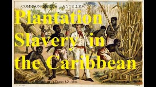 32 When sugar ruled the world Plantation slavery in the 18th c Caribbean [upl. by Atrice977]