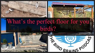 Whats the best substrate to use for my birds Bird Brains Podcast Episode44 [upl. by Lionel]