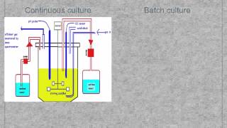 A level S3 Fermentation and fermenters Ms Cooper [upl. by Lody10]