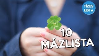 10 mázlista a világból [upl. by Assele966]