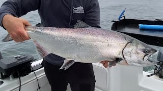 Big CHROME King  NONSTOP Action  Washington State [upl. by Ojibbob]