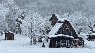 白川鄉與五箇山的合掌構造村落 Historic Villages of Shirakawago and Gokayama 雪國秘之境 日本 日本旅行 japan japantravel [upl. by Roer]