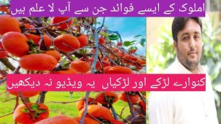 Benefits of Persimmon fruit  Japani Phal ke Faiday  Benefits of eating Persimmon  Amlok benefit [upl. by Ailimat366]