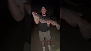 18lb Flathead Catfish caught in Pittsburgh Part 2 viralvideo fishing catfish shortvideo big [upl. by Pliske]