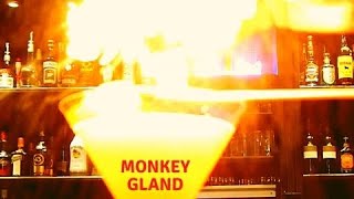 MONKEY GLAND COCKTAIL Recipe [upl. by Arlynne]