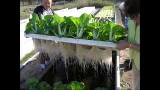 Indoor Aquaponics Systems DoItYourself Training  Aquaponics4u [upl. by Sueahccaz850]