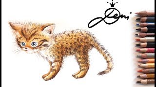 Wildkatze zeichnen 😻Wilde Katze 🐈How to Draw a Wild Cat 😺как се рисува диво коте  malen [upl. by Ob828]