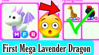 First Mega Lavender Dragon In adopt Me [upl. by Balch7]