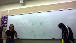 Biochemistry  Alcohol Dehydrogenase [upl. by Nylodnarb]