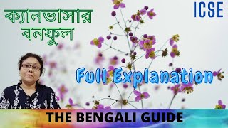 Canvasar ক্যানভাসার  ICSE  Detailed Explanation [upl. by Nawtna]