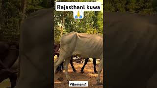 Rajasthani old water system 🙏waterfall [upl. by Kelsey]