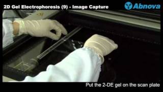 2D Gel Electrophoresis 9 Image Capture  Laser Scanner [upl. by Earissed]