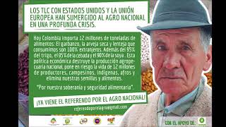 Globalización y su impacto en la economía colombiana [upl. by Baptista]