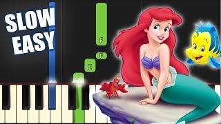 Part Of Your World  The Little Mermaid  SLOW EASY PIANO TUTORIAL  SHEET MUSIC by Betacustic [upl. by Charmine]