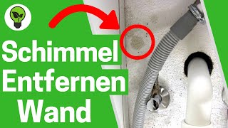 Schimmel Entfernen Wand ✅ TOP ANLEITUNG Wie Schimmelbeseitigung amp Schimmelentferner in der Wohnung [upl. by Noli]