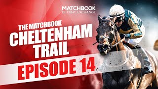 CHELTENHAM LUCKY 15  The Matchbook Cheltenham Trail Episode 14 [upl. by Kora530]