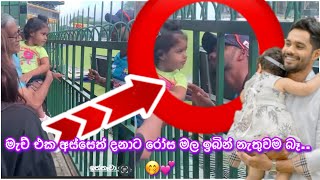 මැච් එක අස්සේ ධනා පුංචි රෝස මල ඉම්බ හැටි🥰 ඒ ආදරේ💕 Dhananjaya De Silva And Daughter Aanya De Silva [upl. by Ennaeus]