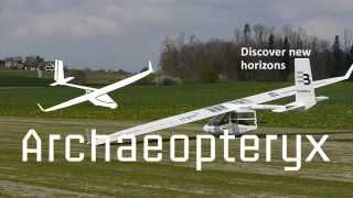 Archaeopteryx Electric quotElecteryxquot [upl. by Demetris]