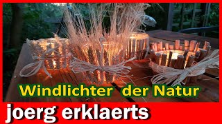 Windlichter aus Naturmaterial selber basteln Garten  Party und Hochzeit Deko Tutorial DIY [upl. by Ajuna]