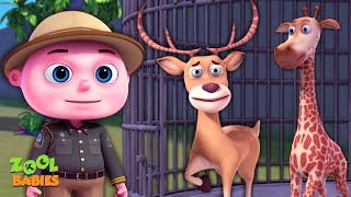 Missing Zoo Animals Episode  Cartoon Animation For Children  Videogyan Kids Shows  Zool Babies [upl. by Ardnauq733]