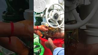 O my God Gearbox oil leak in Rotork Actuator😱shorts youtubeshorts shortvideo viral😱 [upl. by Dorree]