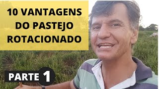 CONHEÇA AS 10 VANTAGENS DO PASTEJO ROTACIONADO  PARTE 1 [upl. by Eeryn]