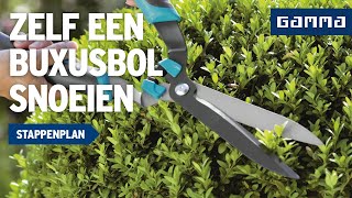 Buxusbol snoeien  Tuinvideos  GAMMA België [upl. by Strade]