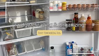 Cleaning and Organizing Fridge  Homemaking Vlog [upl. by Sitruc143]