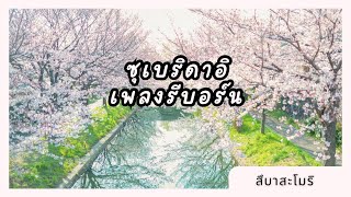 ซุเบริดาอิ  สึบาสะโมริ Suberidai  Tsubasa Mori [upl. by Flam]