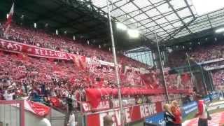 1 FC Köln  Hamburger SV 230814  Hymne und Choreo LIVE  HD [upl. by Suiratnauq]