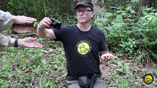 Skeleton tarantula  Ephebopus murinus  Suriname [upl. by Kern480]