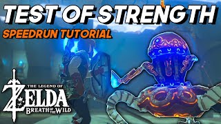 How to Complete Test of Strength Shrines FAST in Breath of the Wild TOS Tutorial 2021 [upl. by Boak]