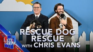 Rescue Dog Rescue with Chris Evans [upl. by Alleirbag]