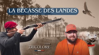 La bécasse des landes  ma première bécasse [upl. by Aleemaj]