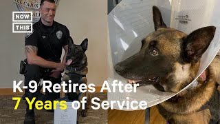 Heroic K9s Retirement Celebrated After Surviving Stabbing [upl. by Mit296]