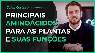 Cortes Colab  Principais aminoácidos para as plantas e suas funções [upl. by Melita]