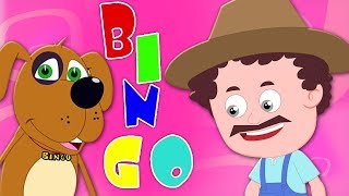 Bingo Le Chien  Chanson pour enfants  enfants rime  Bingo The Dog [upl. by Lemra]