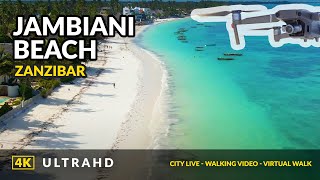 Jambiani Zanzibar 4K ❤️ Cinematic Drone Footage  2021 [upl. by Rice332]