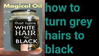 magical hair oil  how to turn Grey hairs to black  Grey coverage solutions [upl. by Paucker]